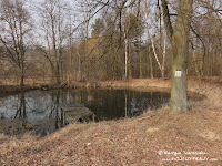 dsc06974.jpg
