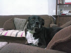 EDSI adoptada hace mas de 3 años feliz con su familia