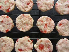 [IMG_6267%255B6%255D.jpg]