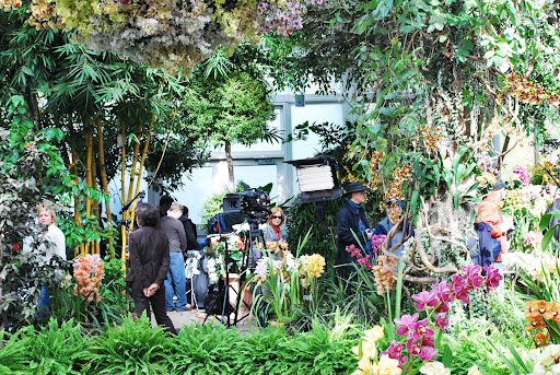 Martha's crew was there taping b-roll for her television show.
