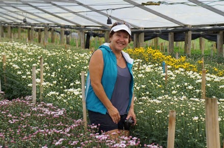 [flores03%255B3%255D.jpg]