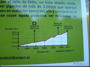 P1100803 P1100803