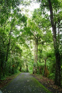 One Day Trip: Kebun Raya Cibodas | the atmojo