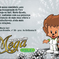  FLYERS_2011