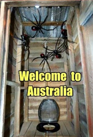 [australia-scary-spiders-022%255B2%255D.jpg]