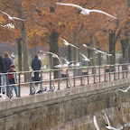 20091031 Allgaeu 0136 [640x480].JPG