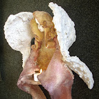 aniol09.jpg