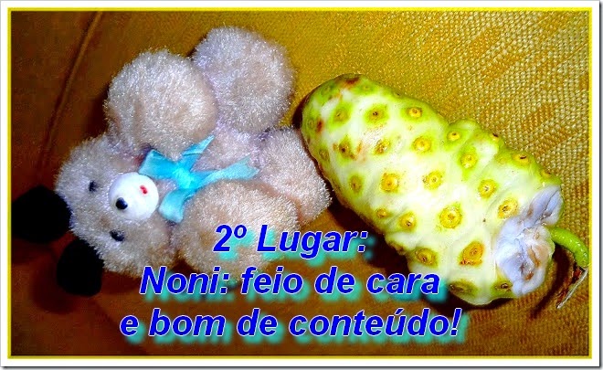 2º lugar 2º lugar