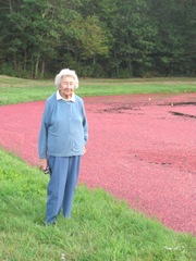 Cranberry Harvest Gerts bog 2011Gert 2