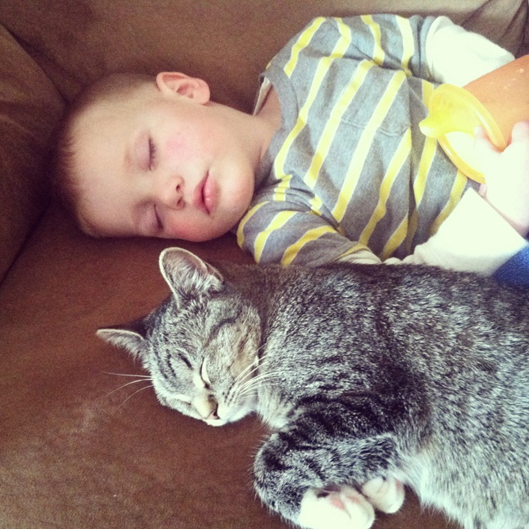 [IMG_4320%255B5%255D.jpg]