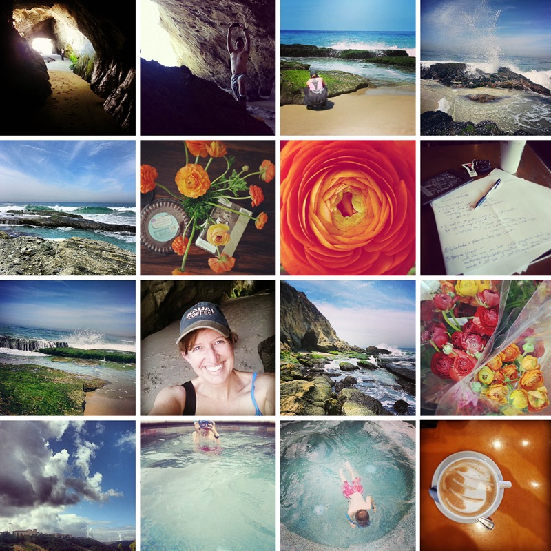 beach flowers and hot tub beach flowers and hot tub