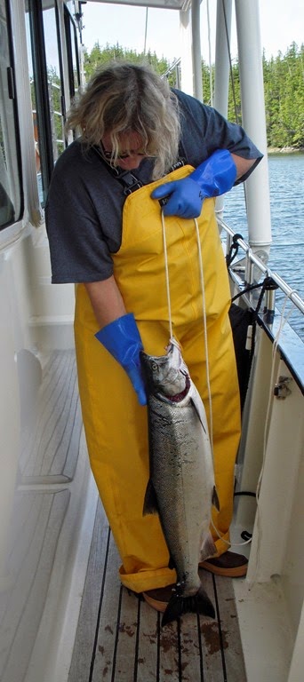 [2014-08%2520Silver%25201%255B3%255D.jpg]
