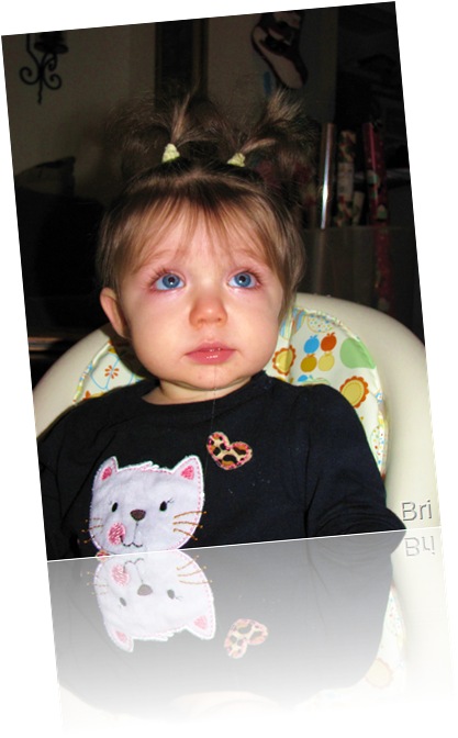 IMG_1394 IMG_1394