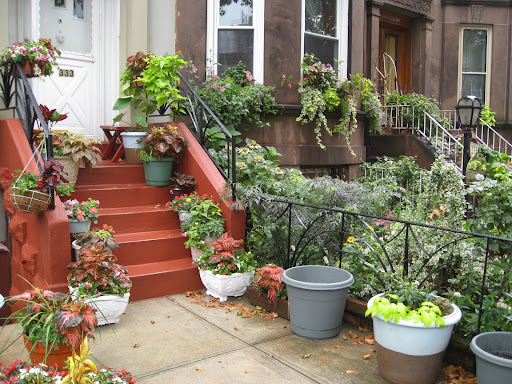 Lots of people don't just stop at the stoop - they keep right on going, clear down to the sidewalk.