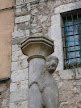 dog, cat, climbing, girona