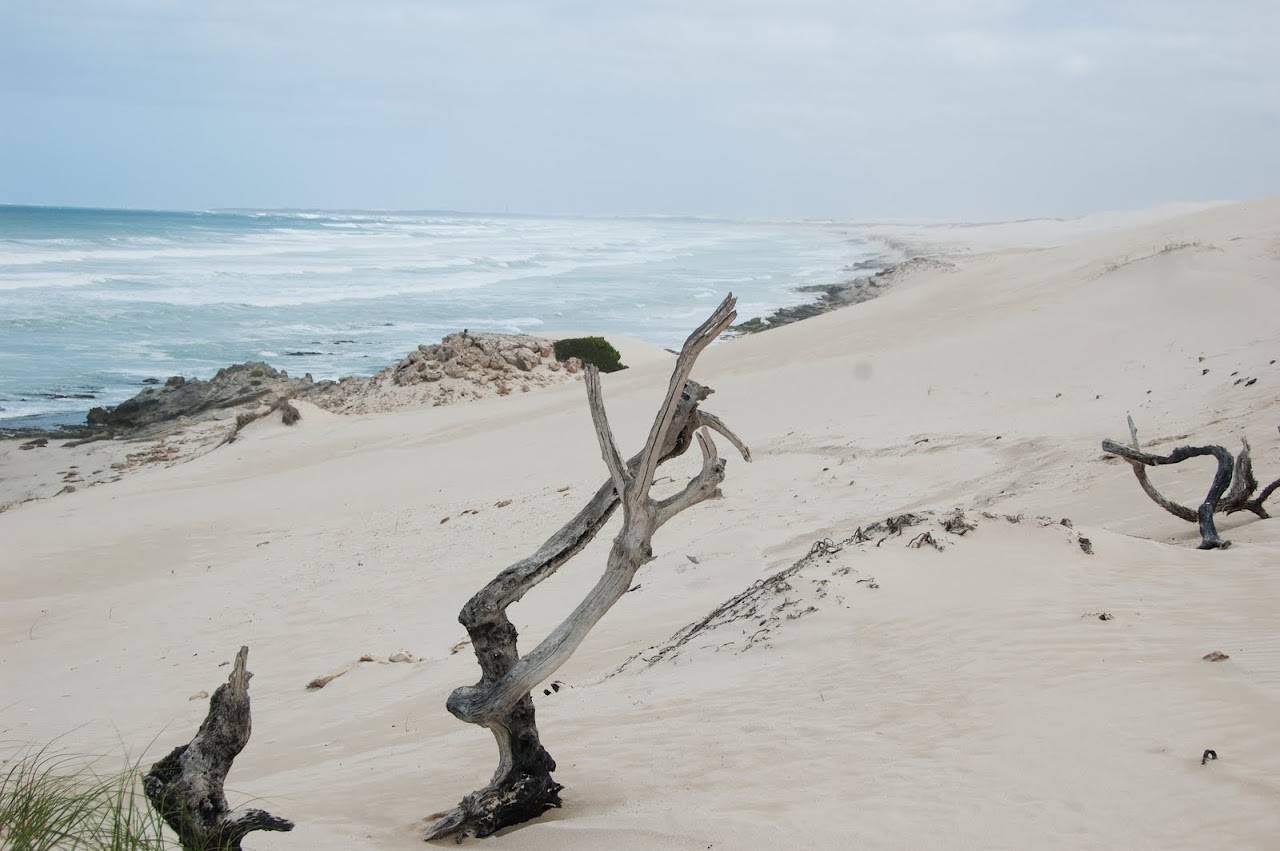 De Hoop Natural Park