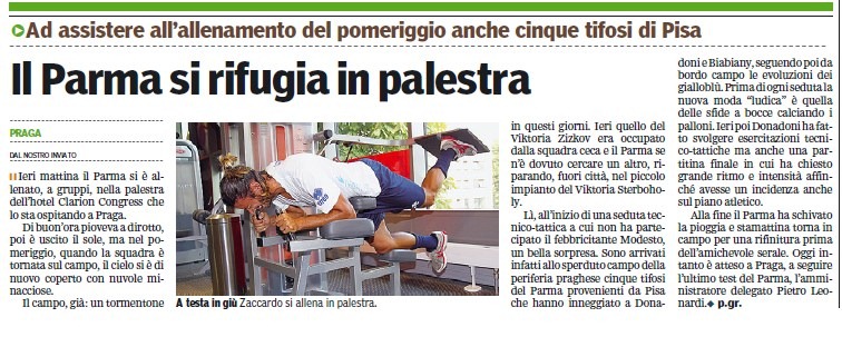 [PARMA%2520SI%2520RIFUGIA%2520IN%2520PALESTRA%2520GDP%255B2%255D.jpg]