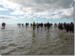 Morecambe Bay Walk (16)