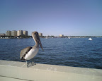 IMG00729.jpg