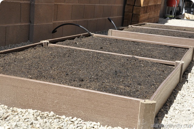 garden grow boxes garden grow boxes