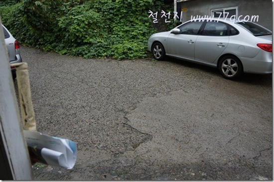 철천지DSC08888-20120830-115820 철천지DSC08888-20120830-115820