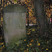 DSC_0195.jpg