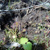 2012-06-08_11-29-21_936