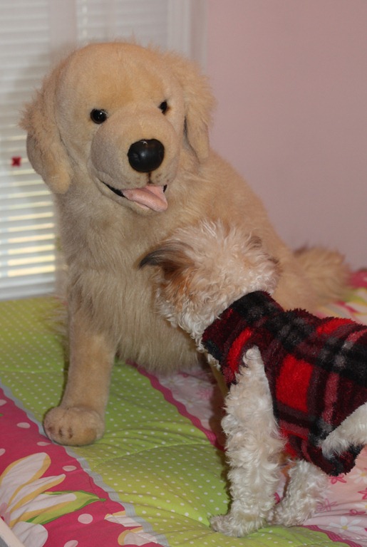 [November%2520Memories%2520080%255B6%255D.jpg]