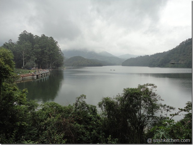munnar tour 140 munnar tour 140
