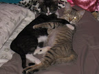 Shadow and Ben 
 
