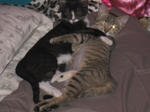 Shadow and Ben 
 