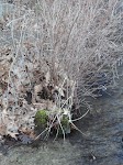 DSC02985.JPG