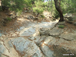 DSCF3636.jpg
