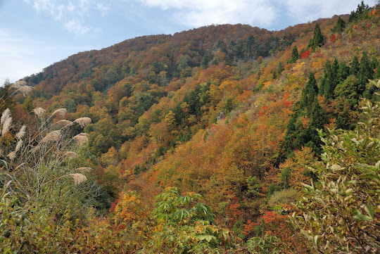 天生峠の紅葉