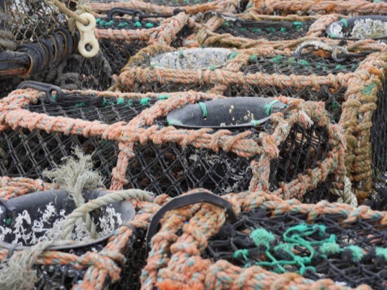 P1140123.jpg Crab pots - Mudeford harbour