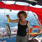 frischer Fisch, nachdem Timtam weg ist, Komodo