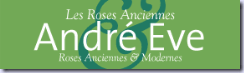 andre-eve-logo andre-eve-logo