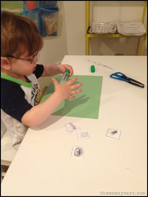 5.13.13 tot school bugs12