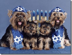 more-hanukkah-dogs