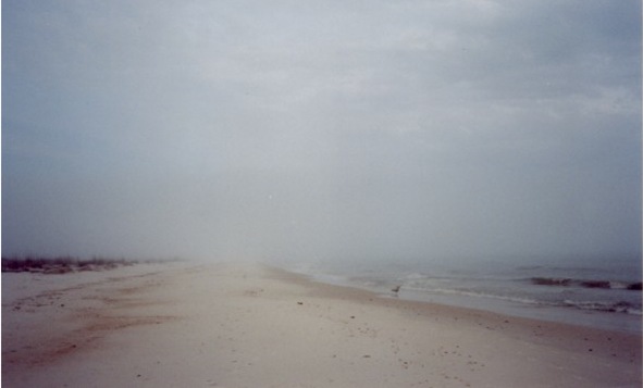 foggy-beach