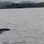 Returning To The Water - Bay Of Islands, New Zealand