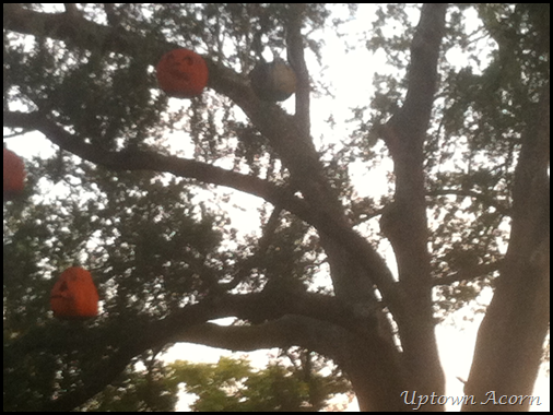pumpkins in tree 3