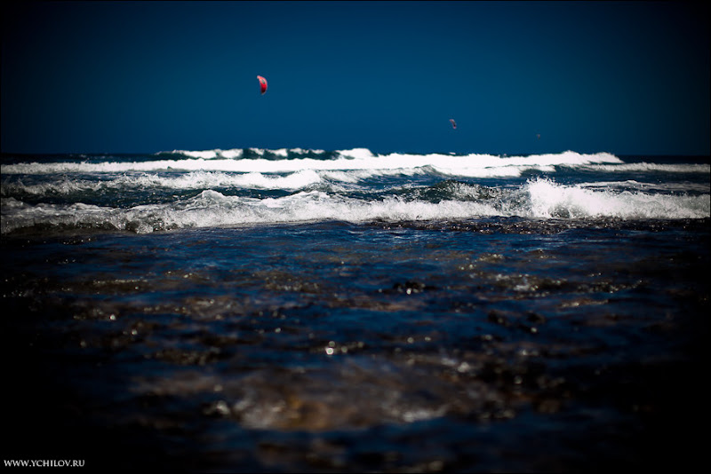 052 www.ychilov.ru foto tenerife.jpg