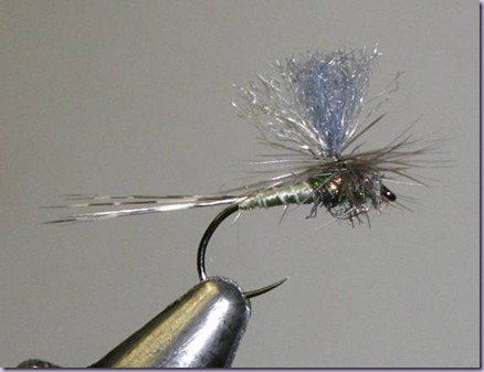 clip_image052 clip_image052