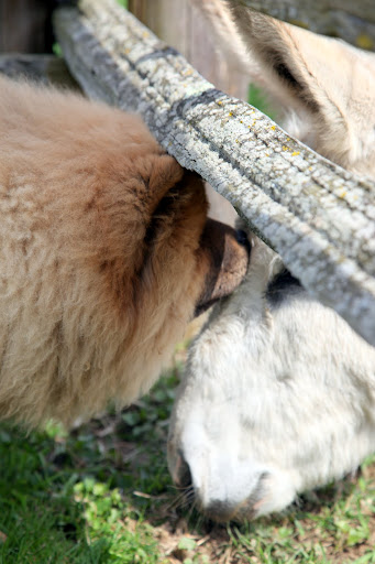 Oh, I love you, too, Clive.