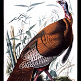huntstuff