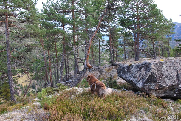 Liodden 034 Liodden 034