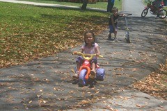 IMG_5228 IMG_5228
