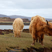 201004 Ecosse 4-26-2010 2-52-38 PM 3008x2000.JPG