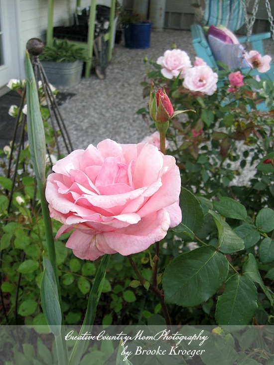 [IMG_4110%255B2%255D.jpg]